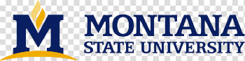Montana State University Logo Download Page - Creative Services ...
