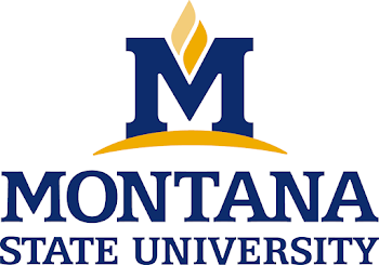 Montana State University Logo Download Page - Creative Services ...