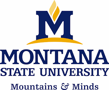 Montana State University Logo Download Page - Creative Services ...