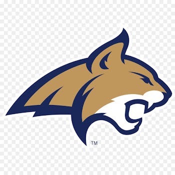 Montana State University Montana State Bobcats women's basketball Montana State Bobcats football Montana State Bobcats men's basketball Sacramento State Hornets football - american football 