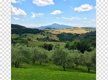 Montepulciano Biome Vegetation Grassland Mount Scenery, Arcieri Ugo Di Toscana transparent background PNG clipart