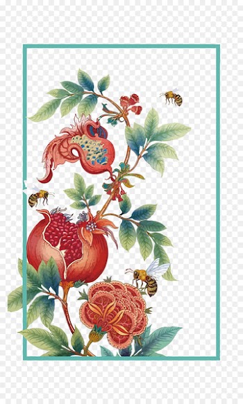 Month Illustration - Vector pomegranate flower 