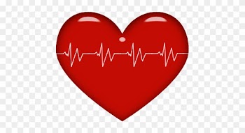 Monti Medical Heart - Monti Medical Heart