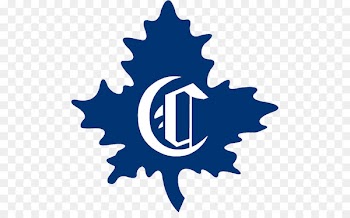 Montreal Canadiens National Hockey League Montreal Maroons Toronto Maple Leafs Montreal Wanderers - others 