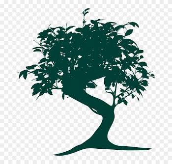 Mood Pictures, Japanese Tree, Qv - Bonsai Tree Vector Png