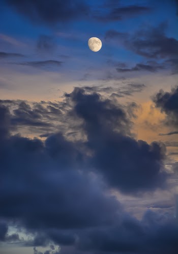 Moon