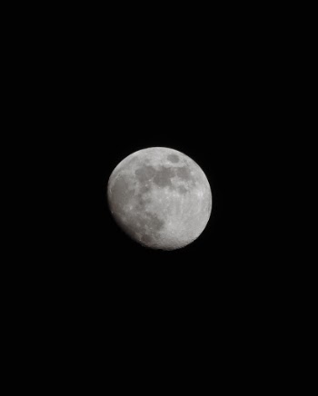 Moon 