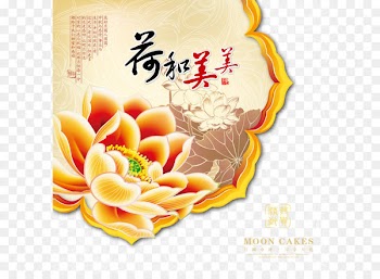 Moon cake packaging 