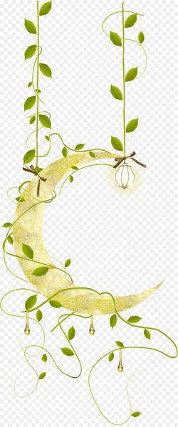 Moon Cartoon Illustration - moon 