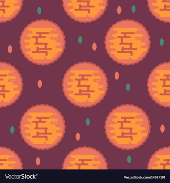 Moon cookie pattern vector image
