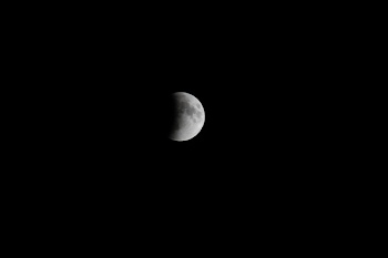 Moon Illustration