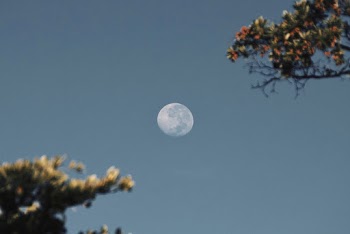 Moon in the Sky