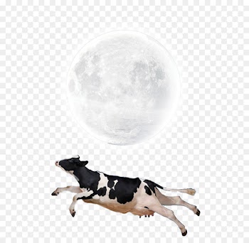 Moon Lunar phase Wallpaper - Flying Cow Moon Creative 