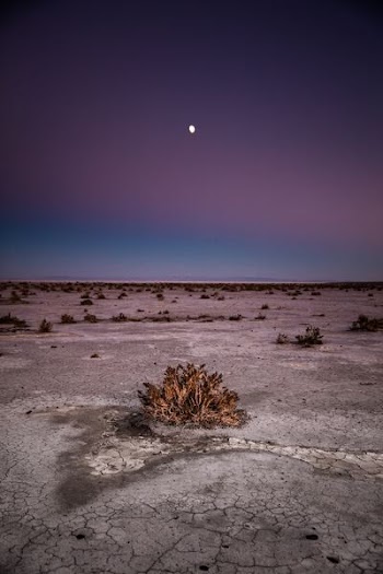 moon on sky