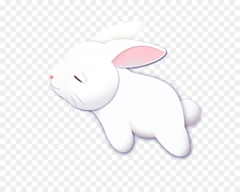 Moon rabbit - Cute bunny 