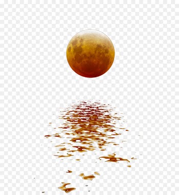 Moon Reflection Euclidean vector - Beautiful moon reflection 