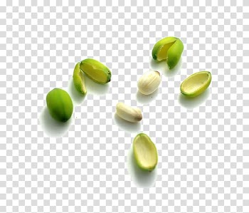 Mooncake Lotus seed paste Nelumbo nucifera, Lotus seed shell white lotus seeds transparent background PNG clipart