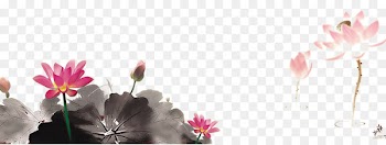 Mooncake Mid-Autumn Festival Change Traditional Chinese holidays Ink wash painting - Ink painting a lotus 
