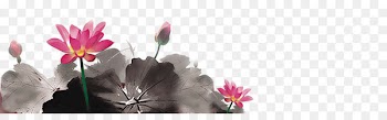 Mooncake Mid-Autumn Festival Change Traditional Chinese holidays - Painting lotus 