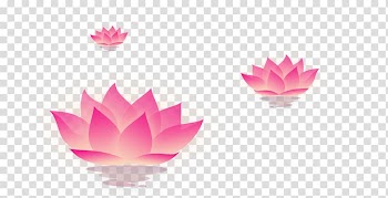 Mooncake Mid-Autumn Festival Moon rabbit Lantern, Mid-Autumn Lantern transparent background PNG clipart