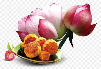 Mooncake Mid-Autumn Festival Nelumbo nucifera Computer file - Mid Autumn Festival moon cake lotus decorative pattern 