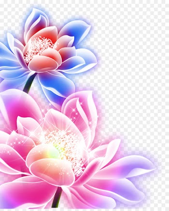 Mooncake Mid-Autumn Festival Nelumbo nucifera Download - Purple lotus 