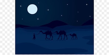Moonlight Sky Night Illustration - Vector night sky camel 