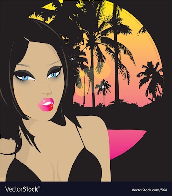 Moonlight summer vector image