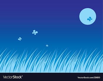 Moonlight vector image