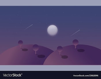 Moonliht in the night vector image