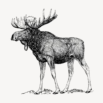 Moose, animal clipart vector. Free | Free Vector Illustration - rawpixel
