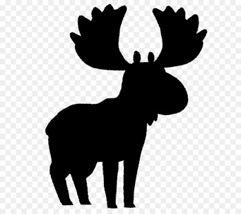 Moose Cattle Reindeer Mammal Antler -  