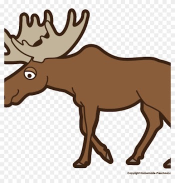Moose Clipart Top 75 Moose Clip Art Free Clipart Image - Clip Art Of A Moose