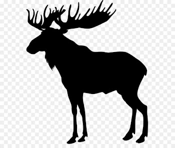 Moose Deer Elk Silhouette Clip art - Moose Silhouette PNG Clip Art Image 