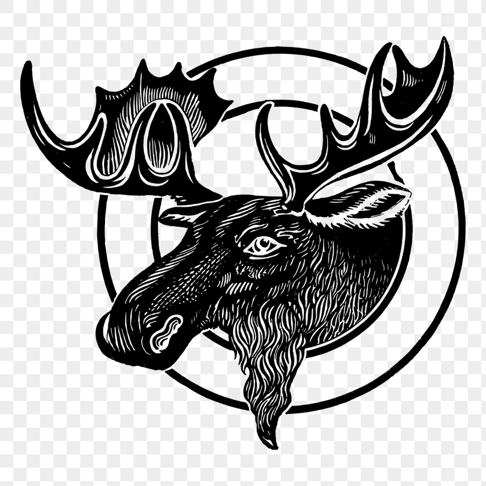 Moose head png sticker, animal | Free PNG - rawpixel