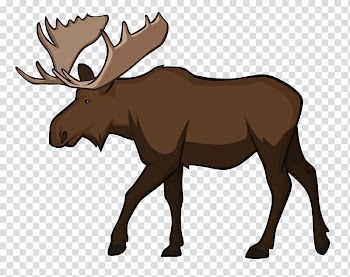 Moose , Moose Reindeer Wildlife Animal, MOOSE transparent background PNG clipart