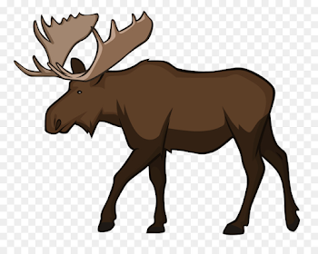 Moose Reindeer Wildlife Animal - MOOSE png download - 1503*1191 ...