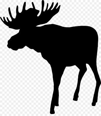 Moose Scrapbooking Photography Paper Sticker -  