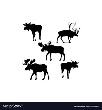 moose set silhouette icon logo