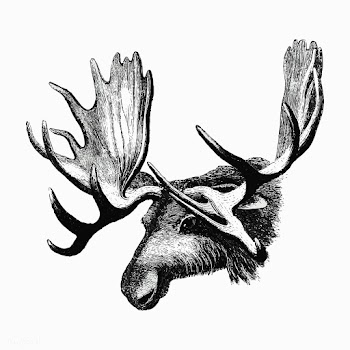 Moose shade drawing | Free stock vector - 562492