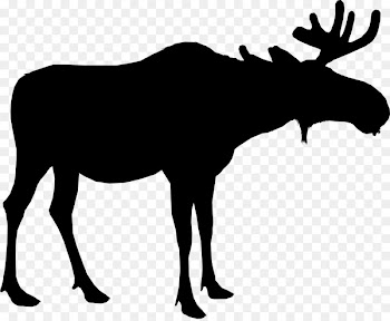 Moose Silhouette Deer Vector graphics Portable Network Graphics -  