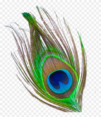 Mor Pankh Clipart - Peacock Feather Png File