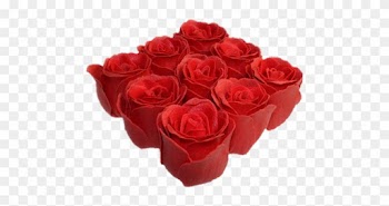 More Bath Petals - K-ancient Bath Roses - 9 Roses In Gift Box (rose)