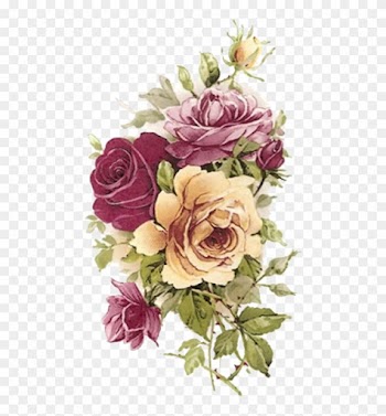 More - - English Fine Bone China - Summertime Roses Mug