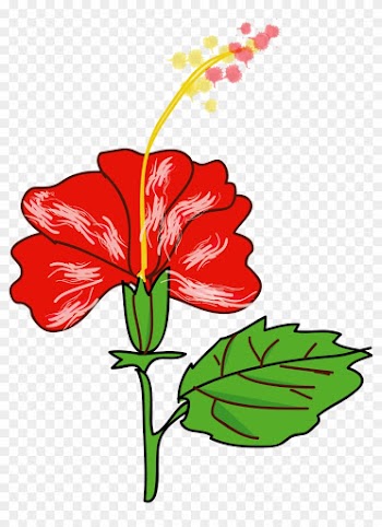 More From My Site - Flowering Plant Clipart