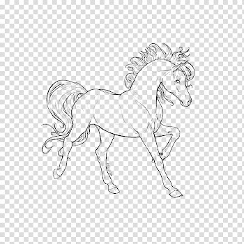 More horse line art transparent background PNG clipart
