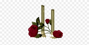 More Information - Garden Roses