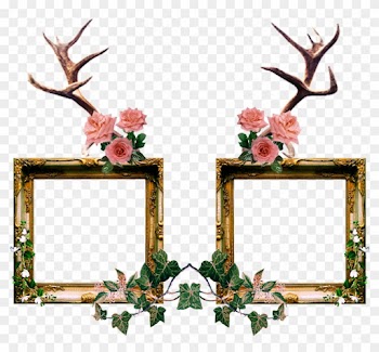 Mori Girl Frame By Queenobscurepairings Mori Girl Frame - Transparent Vintage Frame Png Hd