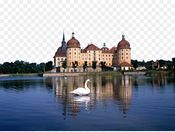Moritzburg Castle Dresden Neuschwanstein Castle Das Concierge - German town charming scenery 
