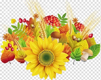Morning Daytime Autumn Mood Internet, sunflower transparent background PNG clipart